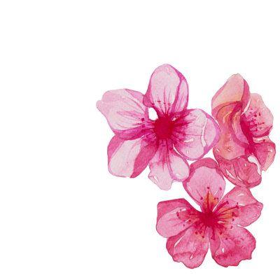 Eternal Spring's Soft Whispers Bouquet