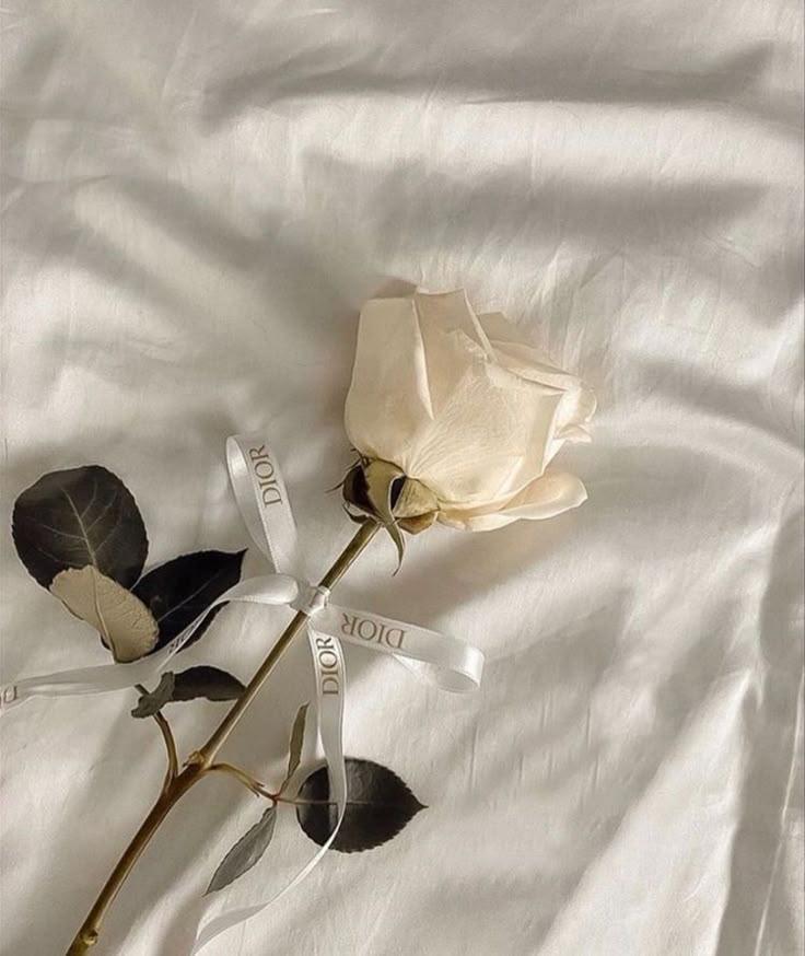 Secret Garden's Embrace: Floral Wonders Unveiled